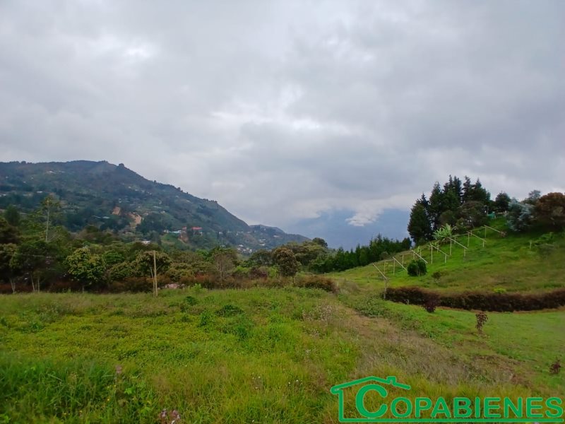 Terreno en Venta en Altos De La Virgen